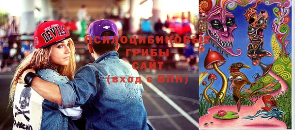 метадон Александровское