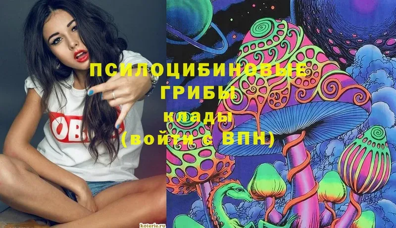 Галлюциногенные грибы Magic Shrooms  Александров 