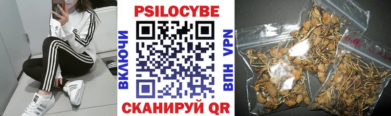 Псилоцибиновые грибы мицелий  Александров 