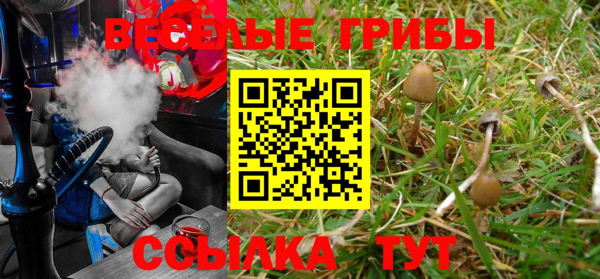 Псилоцибиновые грибы мухоморы Александров