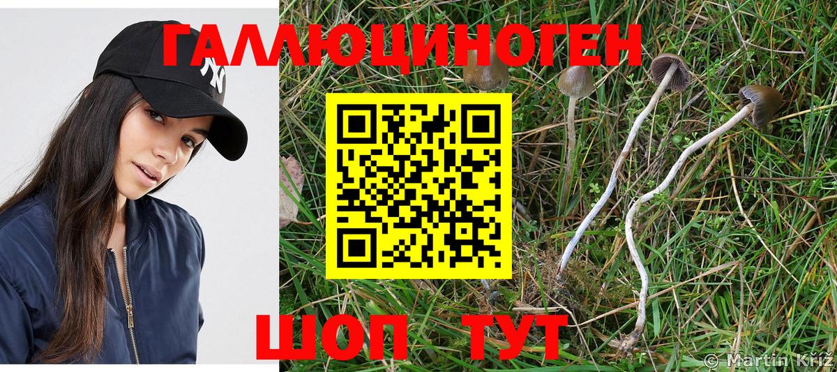 ЭКСТАЗИ Александров