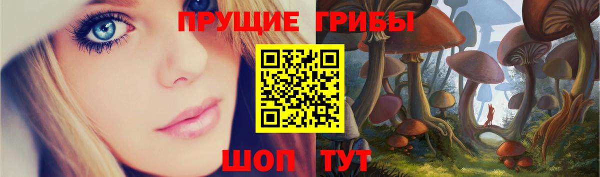 где купить   Вход с VPN  Александров  Псилоцибиновые грибы GOLDEN TEACHER 